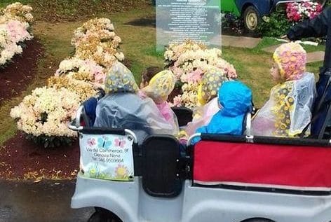 Hakuna Matata - Nido d'Infanzia, Asilo Nido a Genova Nervi